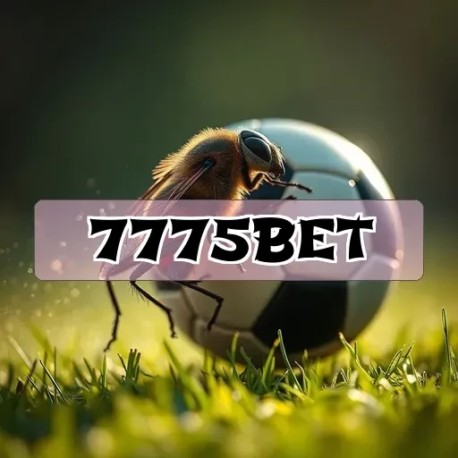 7775bet.com: A Emoção que Só os Jogos de Mesa Podem Trazer!